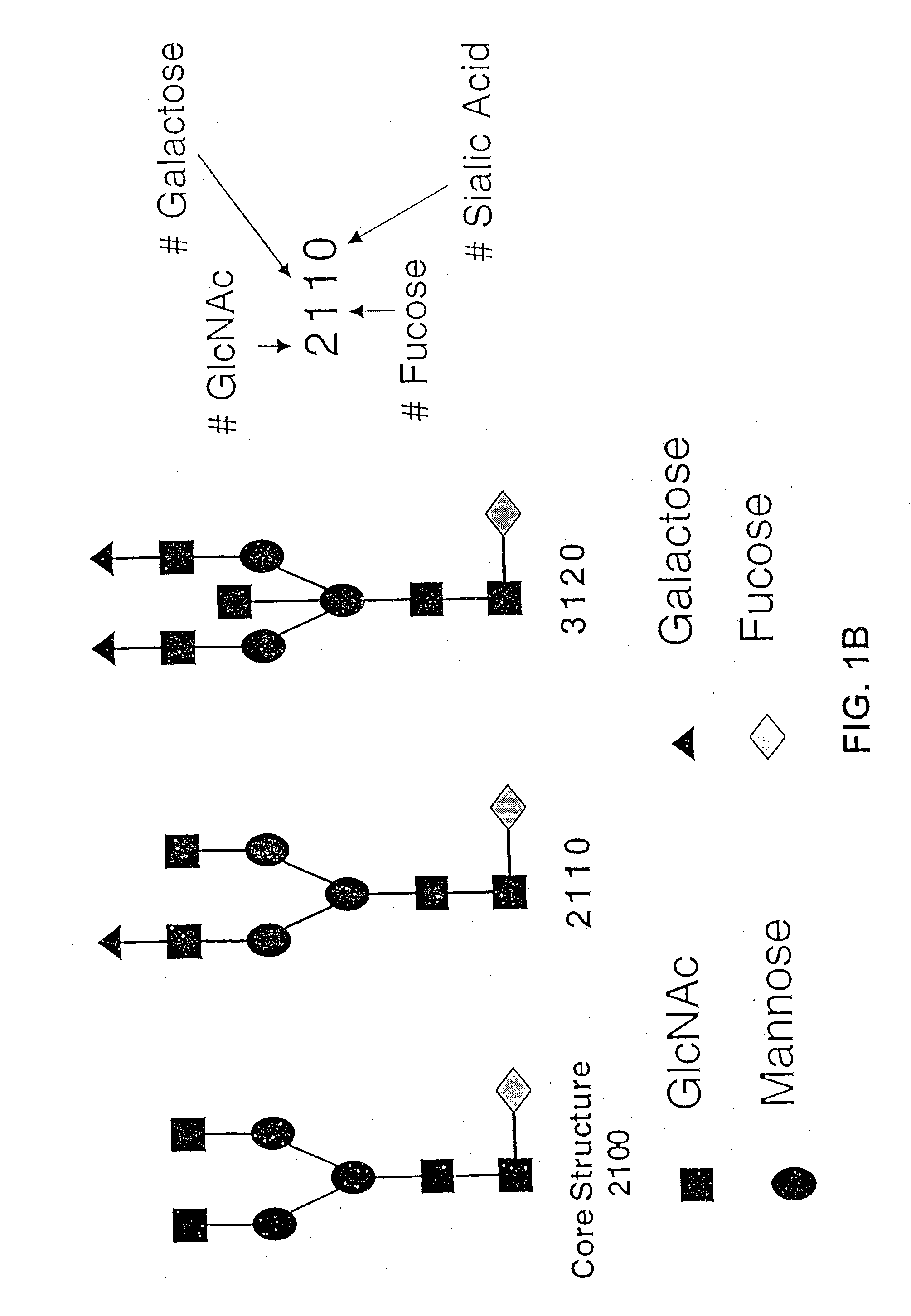 Glycoprotein compositions