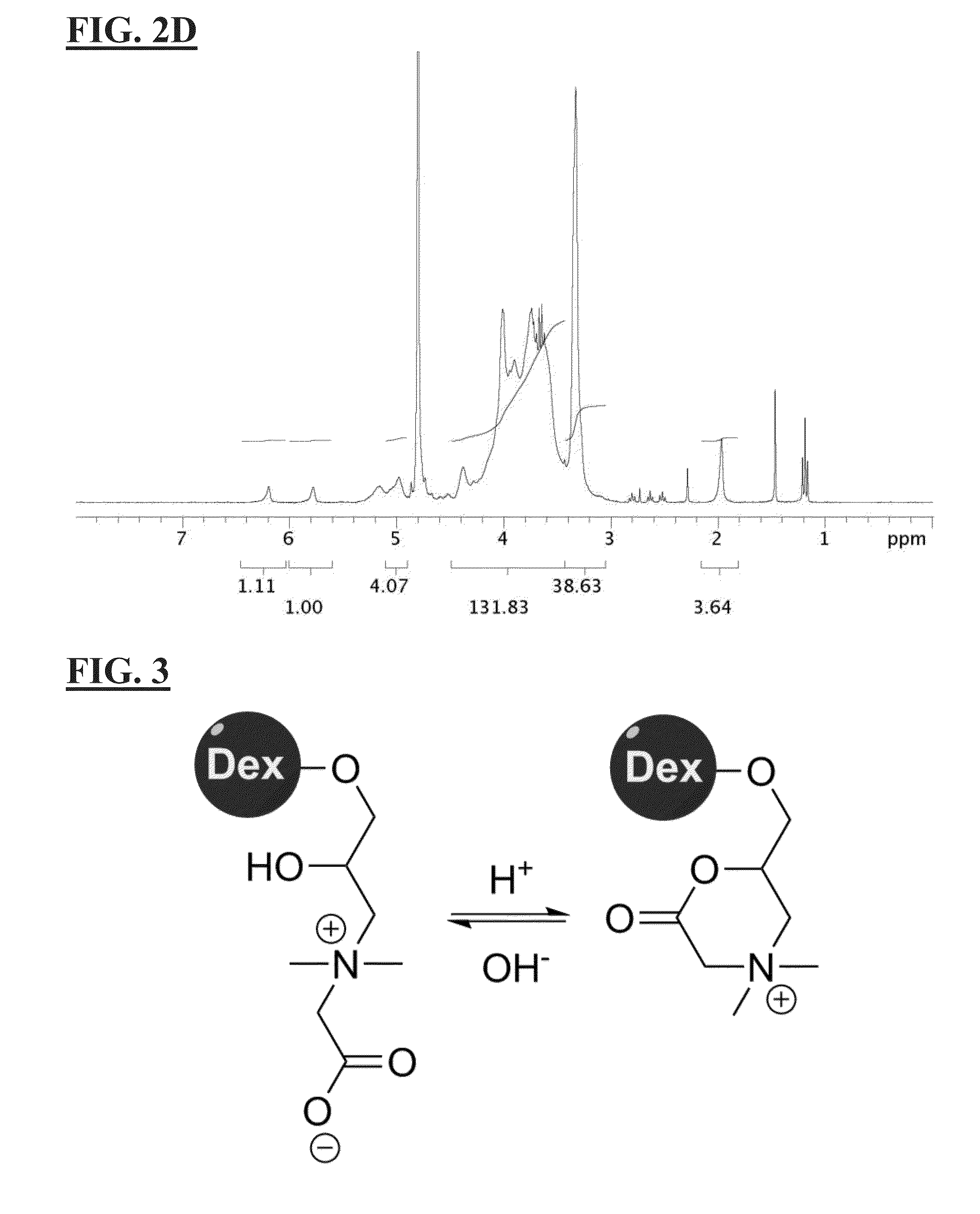 Zwitterionic polysaccharide polymers having antifouling, antimicrobial and optical transparency properties