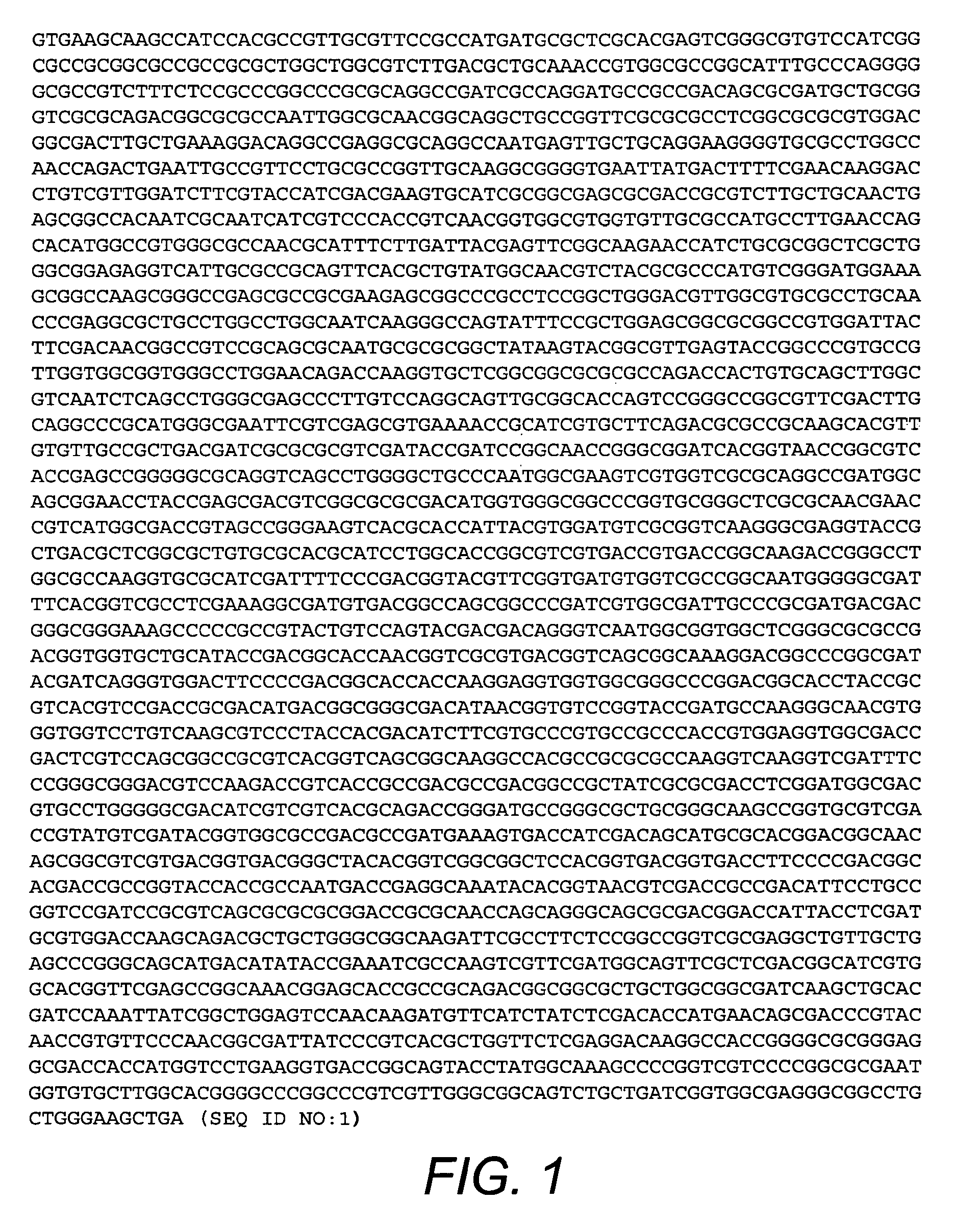 Bordetella outer-membrane protein antigens and methods of making and using the same