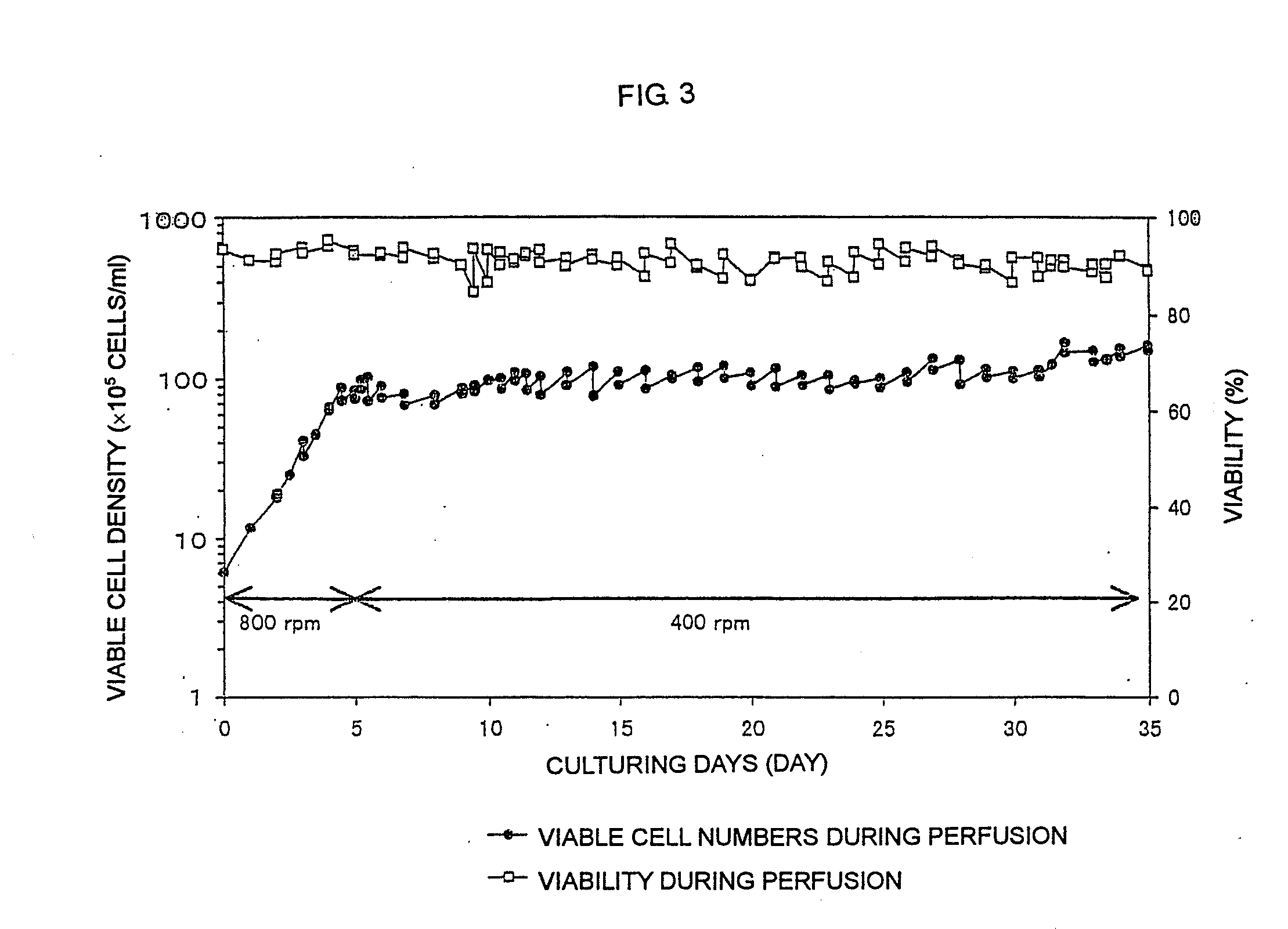 Process for producing polypeptide