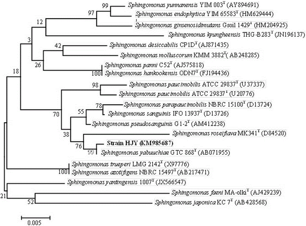 Sphingomonas sp. and its application