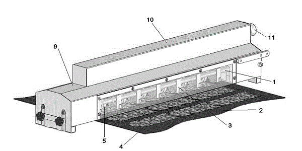 Online dedusting device of web die-cutting machine