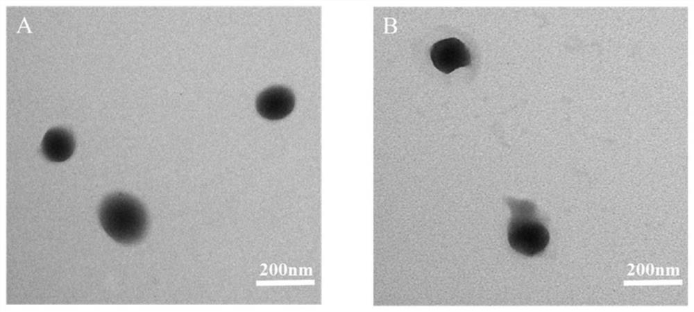 Layered microneedle, layered microneedle contraceptive system and preparation method and application of layered microneedle contraceptive system