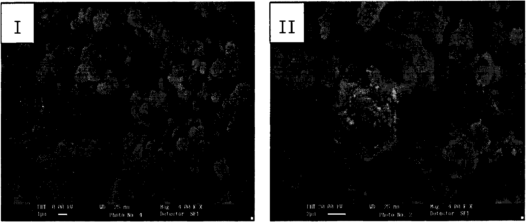 Method for preparing negative pole material SnS2 of lithium ion battery