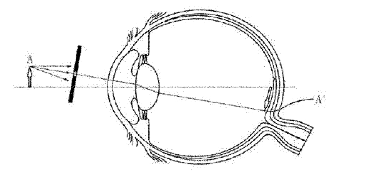 Optical apparatus