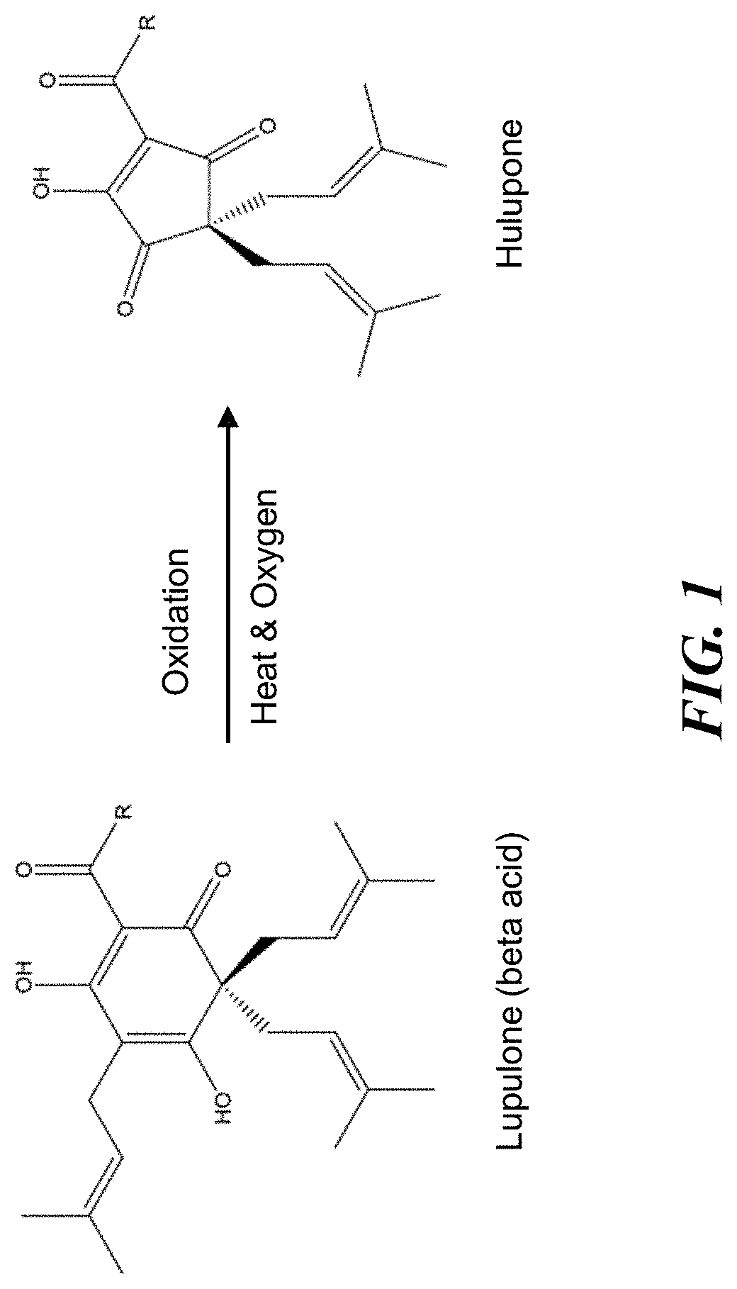 Compositions and methods for controlling a honey bee parasitic mite infestation