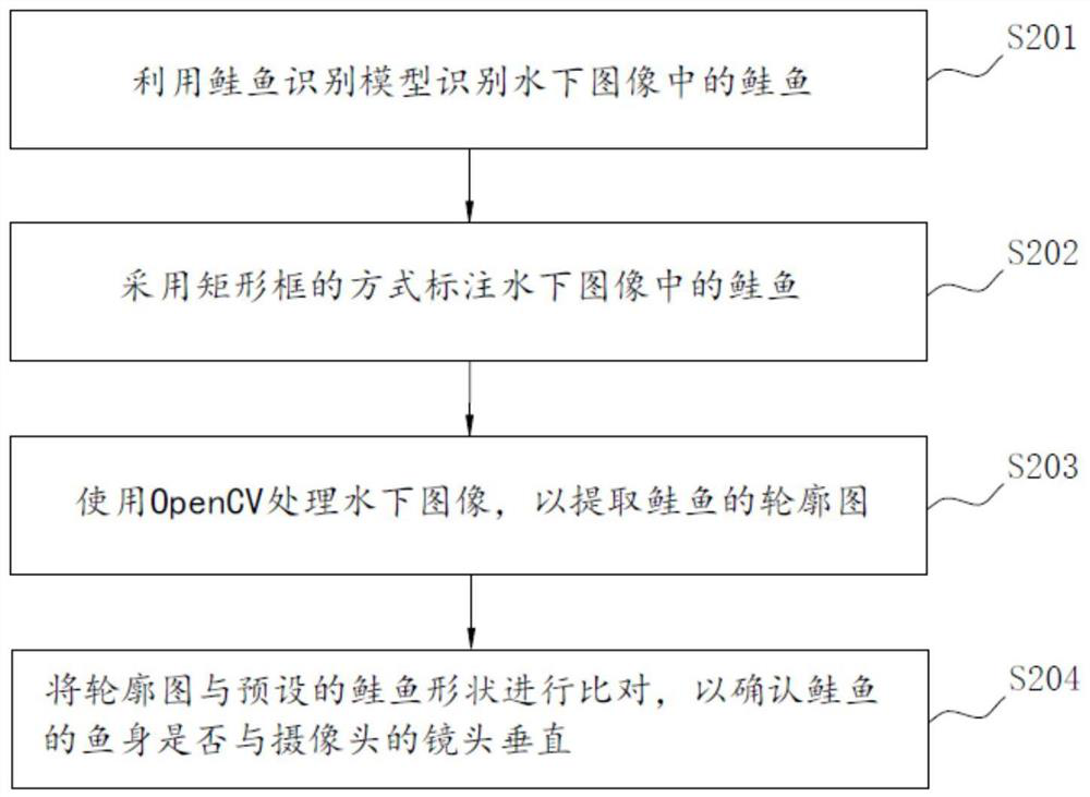 Underwater salmon weight estimation method and system based on machine vision