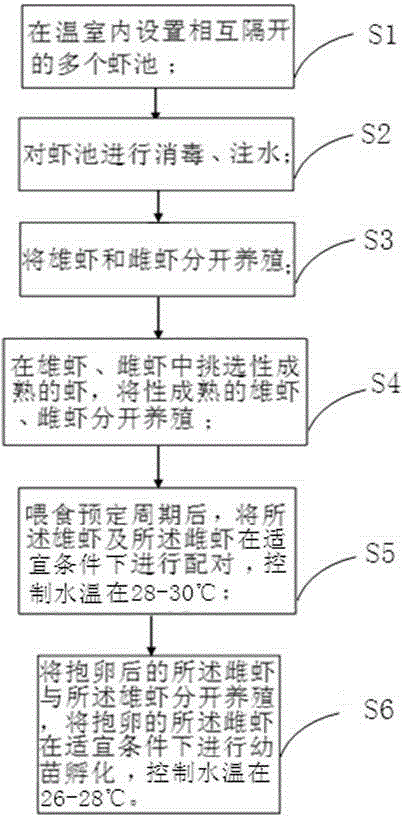 Shrimp seed rearing method based on floor heating type greenhouse and shrimp pond adopting method