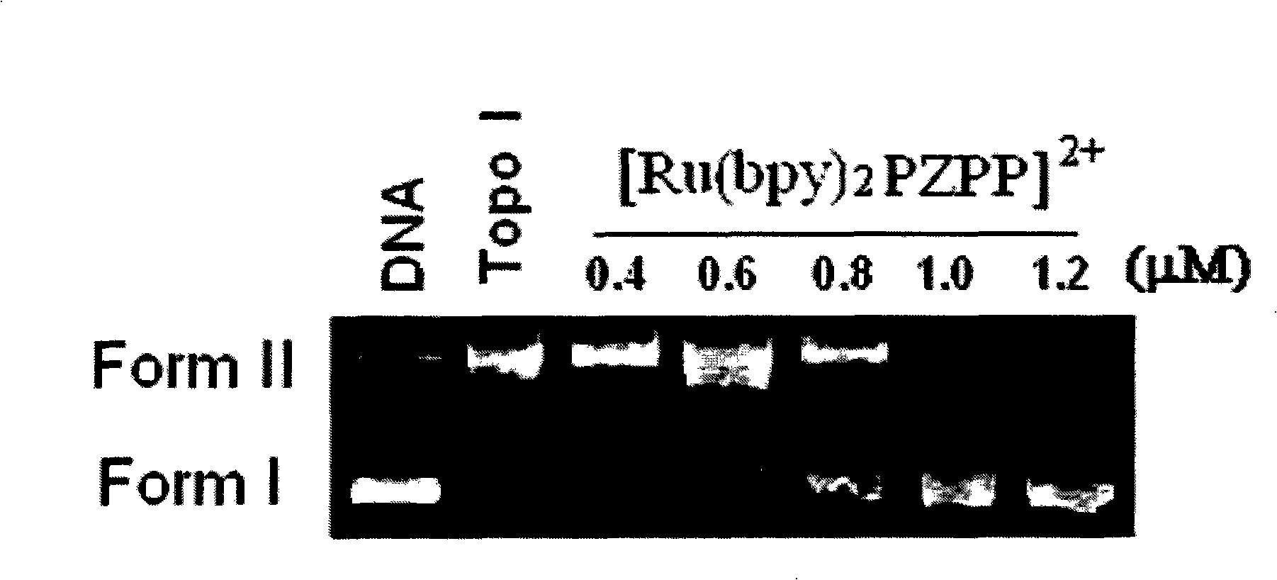 Ruthenium complexes for restraining DNA from topologizing isomerase , preparation method and application thereof