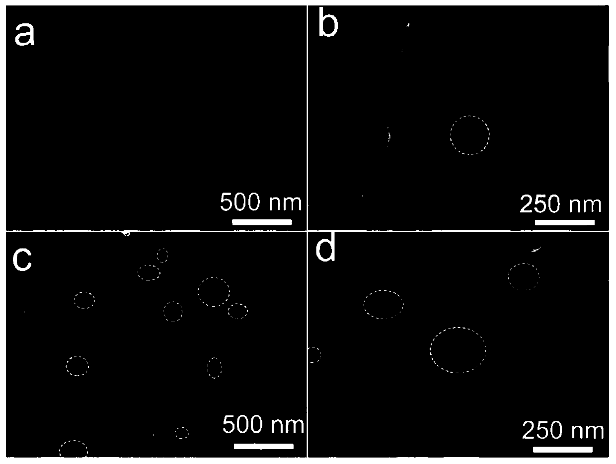 Tantalum nitride carbon nano-film integrated electrode with cobalt nano-particles growing in confinement manner, and preparation method and application thereof