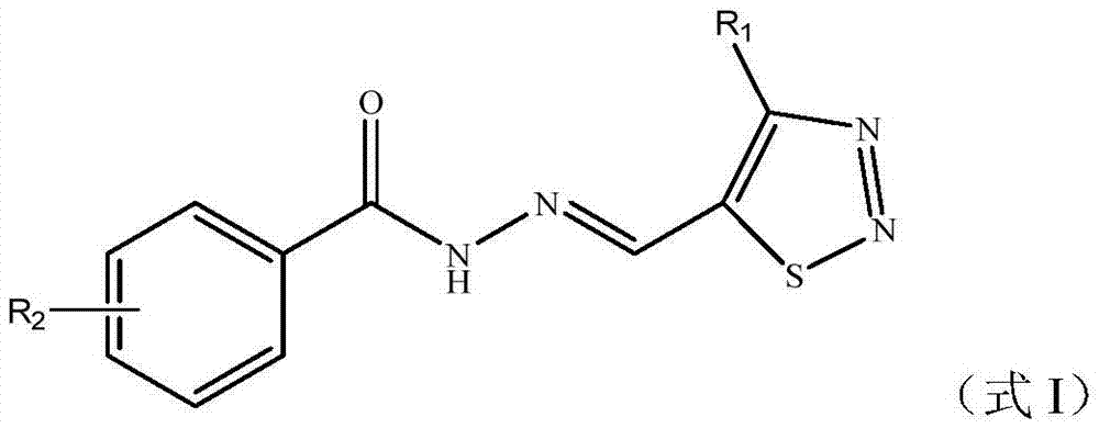 1,2,3-thiadiazole-containing benzoyl hydrazone derivative as well as preparation method and application thereof