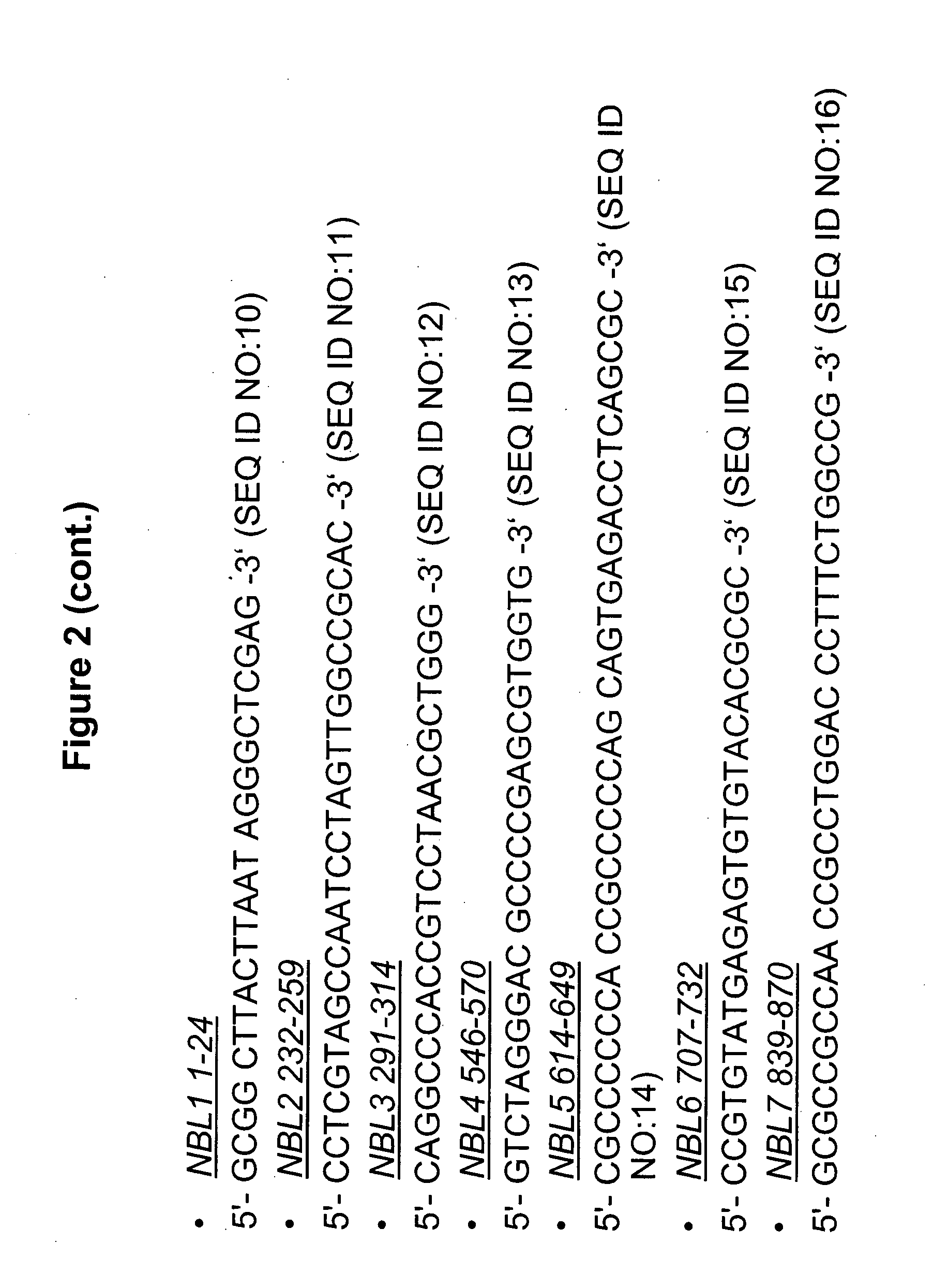 Methods and compositions for the inhibition of gene expression