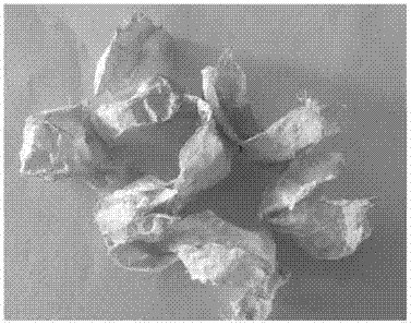 Physalis alkekengi persistent calyx bio-based carbon material and preparation method thereof