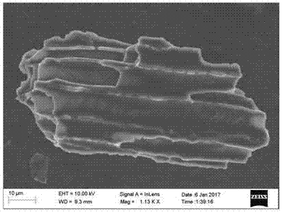 Physalis alkekengi persistent calyx bio-based carbon material and preparation method thereof