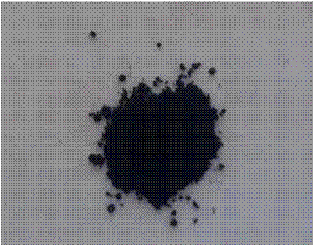 Physalis alkekengi persistent calyx bio-based carbon material and preparation method thereof