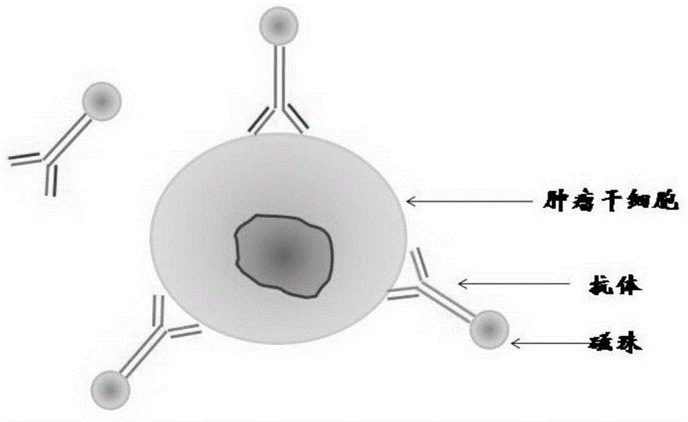 Kit for detecting free breast cancer cell marker in blood