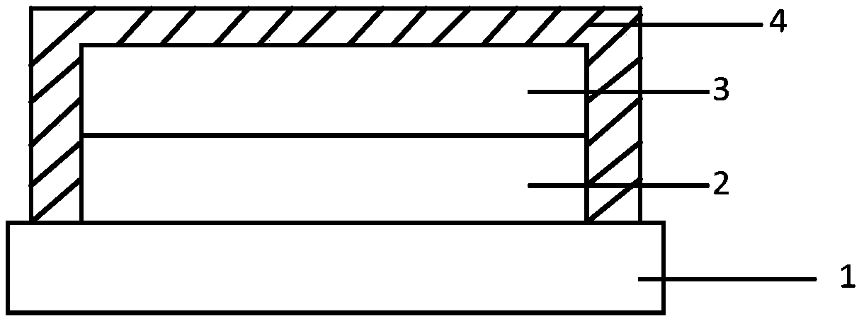 Display device and preparation method thereof