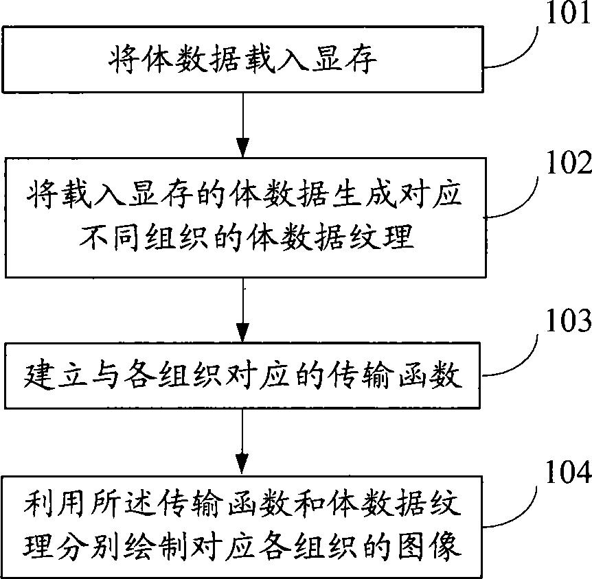 Method and apparatus for drafting medical image body