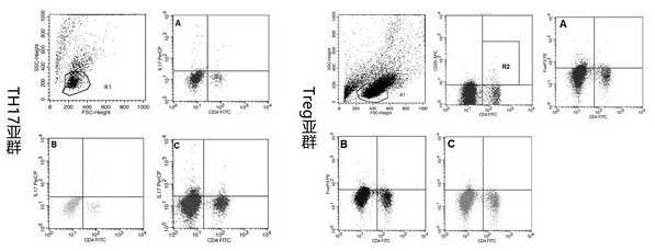 A kind of establishment method of the eamg mouse model of immunoenhancement