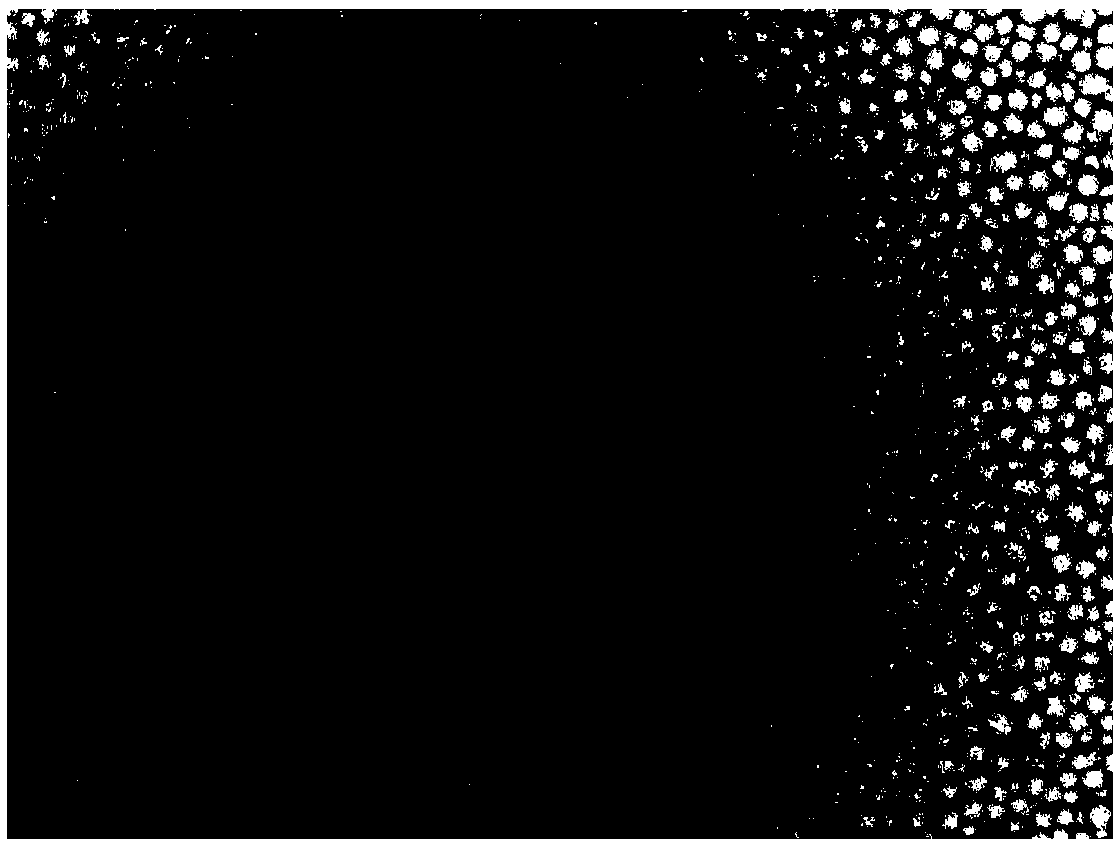 Bulk powder for 3D printing, preparation method thereof and printing method