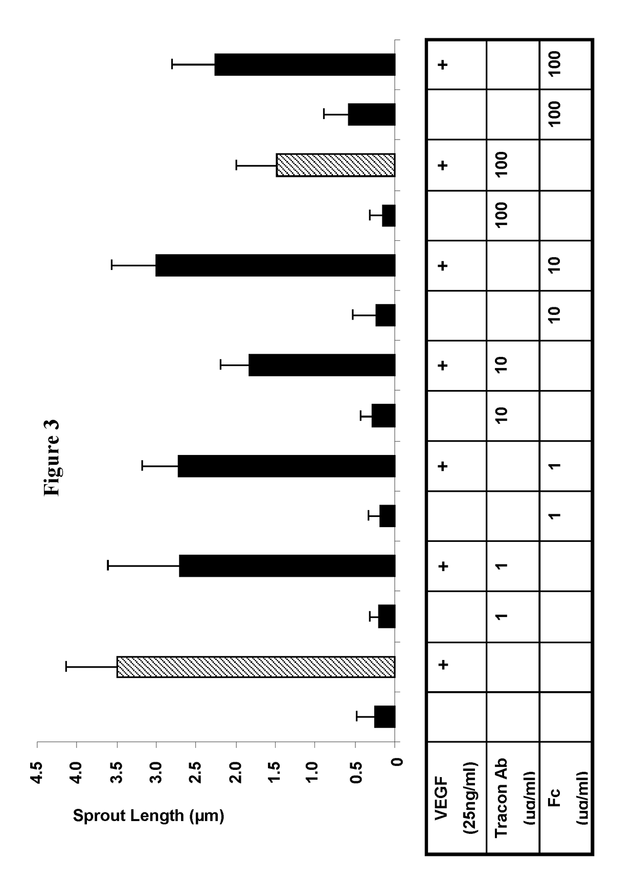 Combination therapy of cancer with Anti-endoglin antibodies and Anti-vegf agents