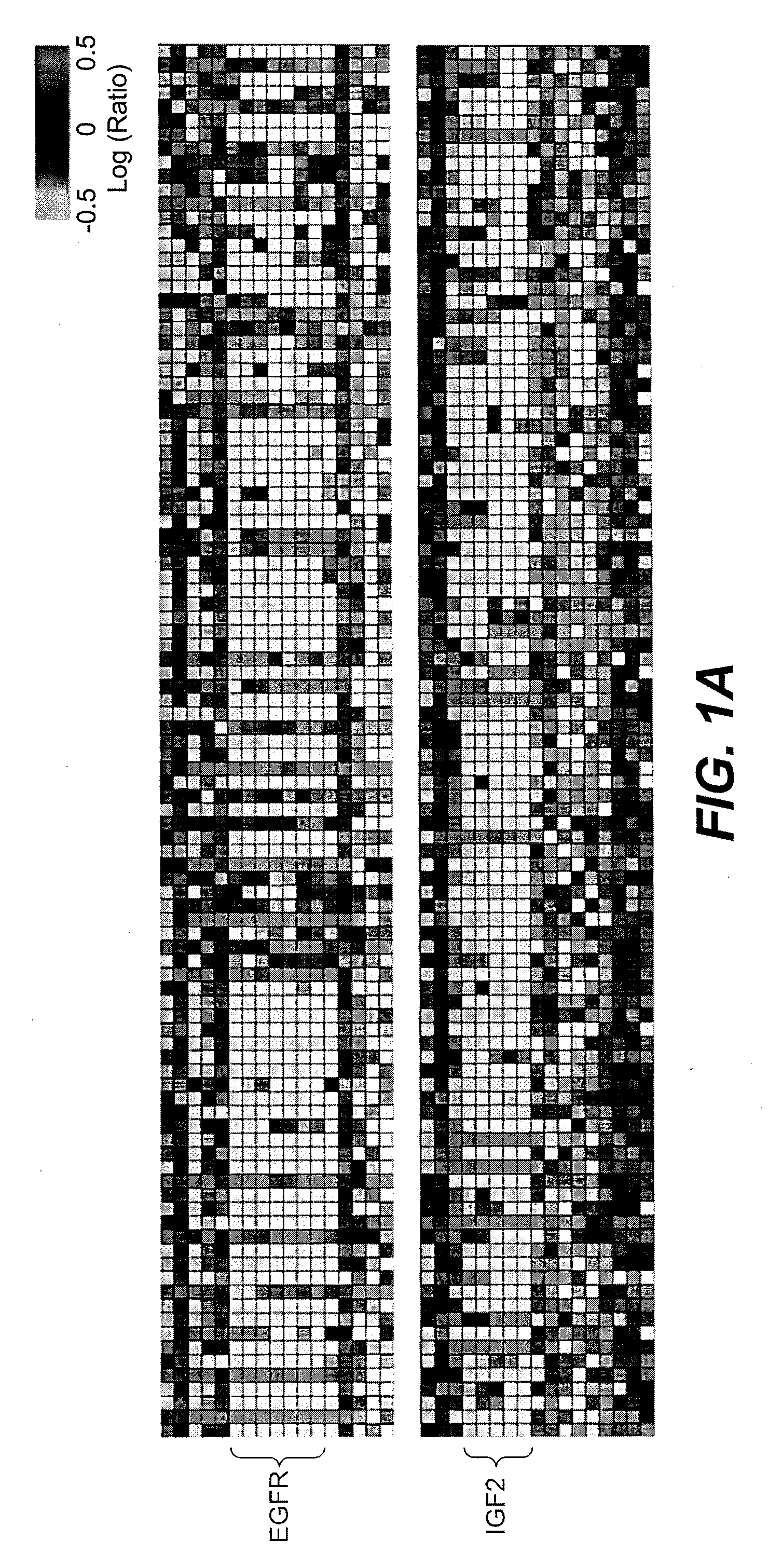 Method of Diagnosing and Treating Glioma