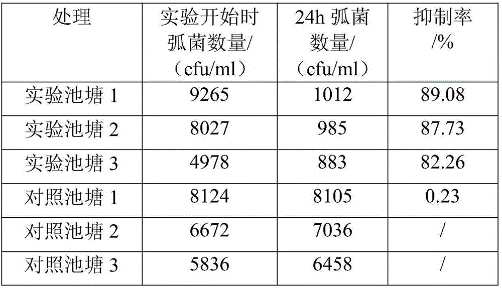 Compound preparation for preventing and controlling turbot vibriosis and preparation method thereof