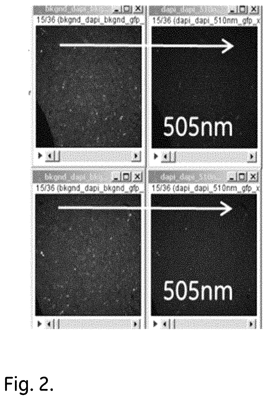 Method for reduction of autofluorescence from biological samples