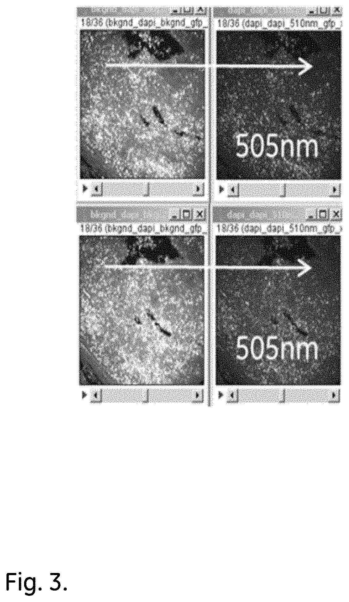 Method for reduction of autofluorescence from biological samples