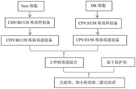 Bivalent live vaccine against canine distemper and parvovirus diseases, and preparation method thereof