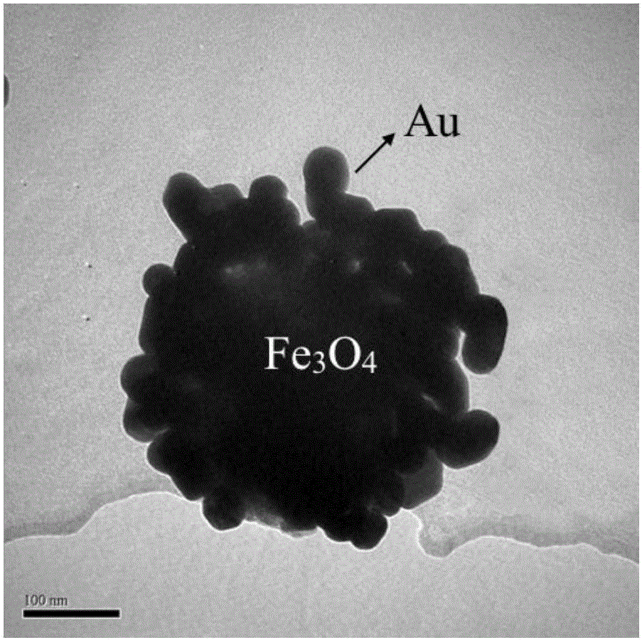 Heavy metal mercury ion detection method