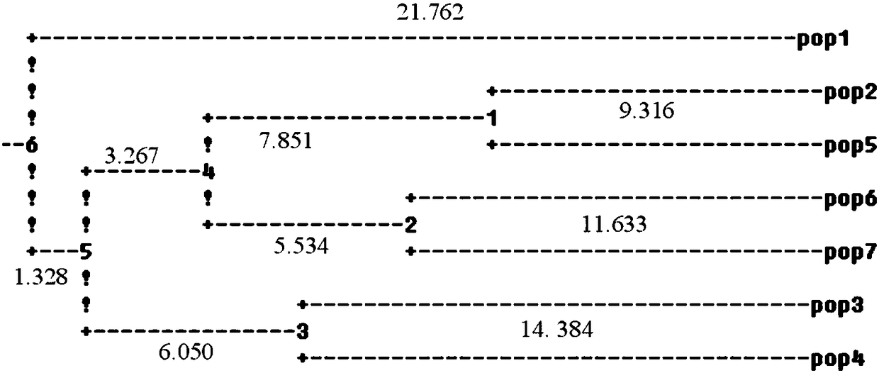 EST-SSR molecular marker developed based on lycoris aurea transcriptome sequence and application thereof