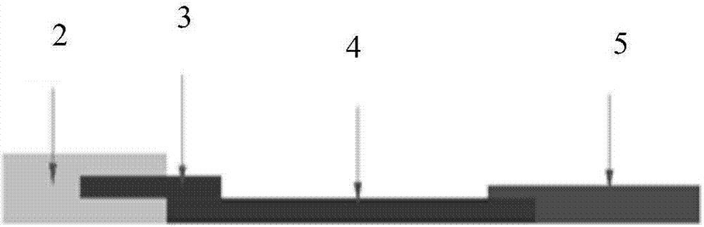 Colloidal gold test strip for detecting carcinoma of urinary bladder and preparation method of colloidal gold test strip