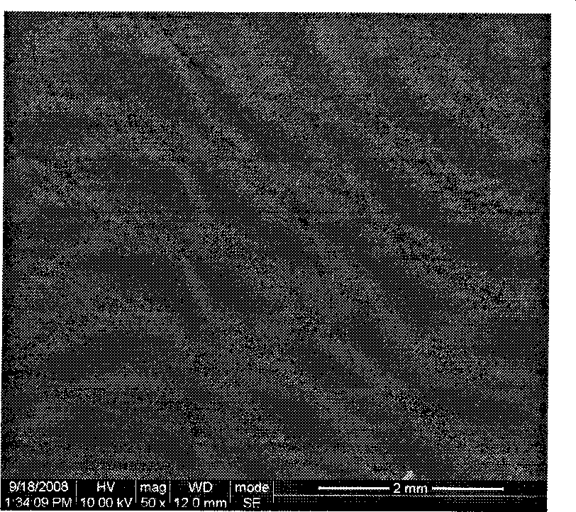 Biodegradable nontoxic amphipathic multi-block polyurethane material and preparation thereof