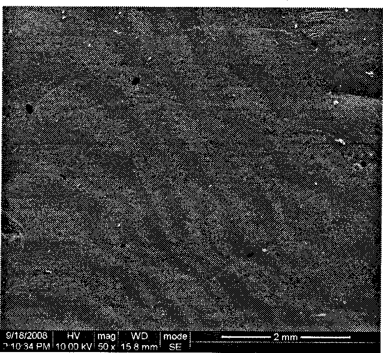 Biodegradable nontoxic amphipathic multi-block polyurethane material and preparation thereof