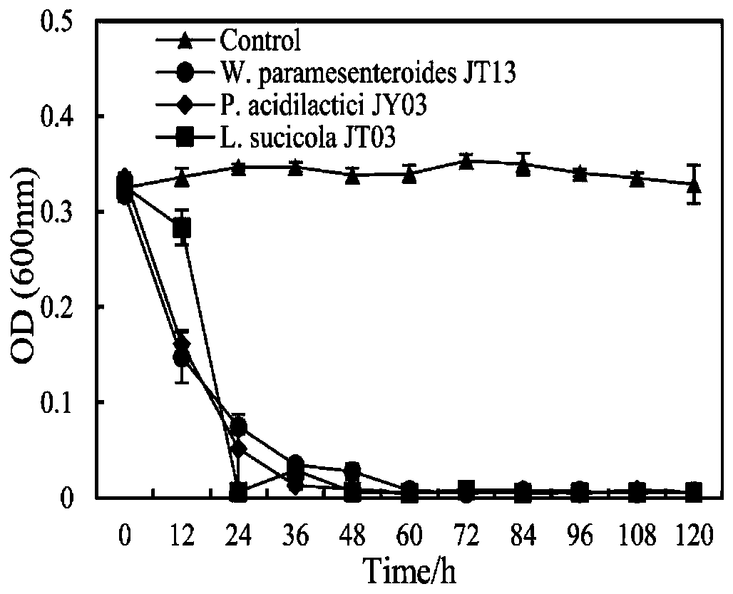 Pediococcus acidilactici and application thereof