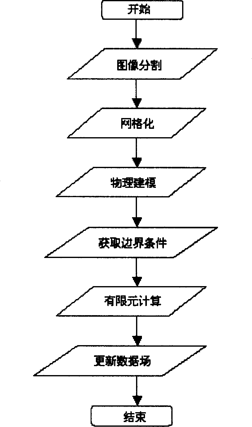 Method for correcting brain tissue deformation in navigation system of neurosurgery