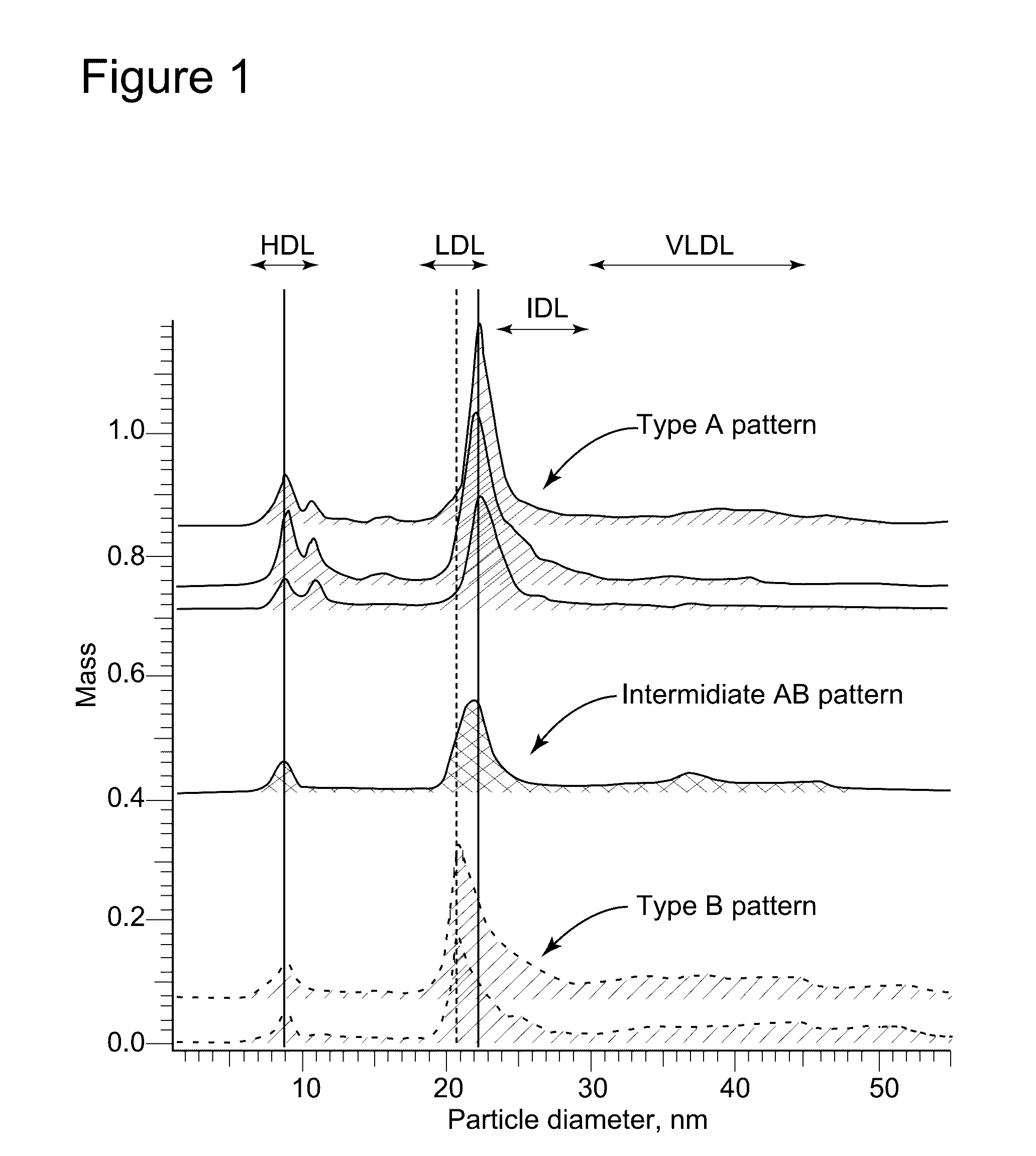 Apparatuses, processes, and systems for measuring particle size distribution and concentration