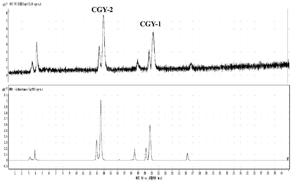 A kind of compound with antitussive effect and its preparation and application