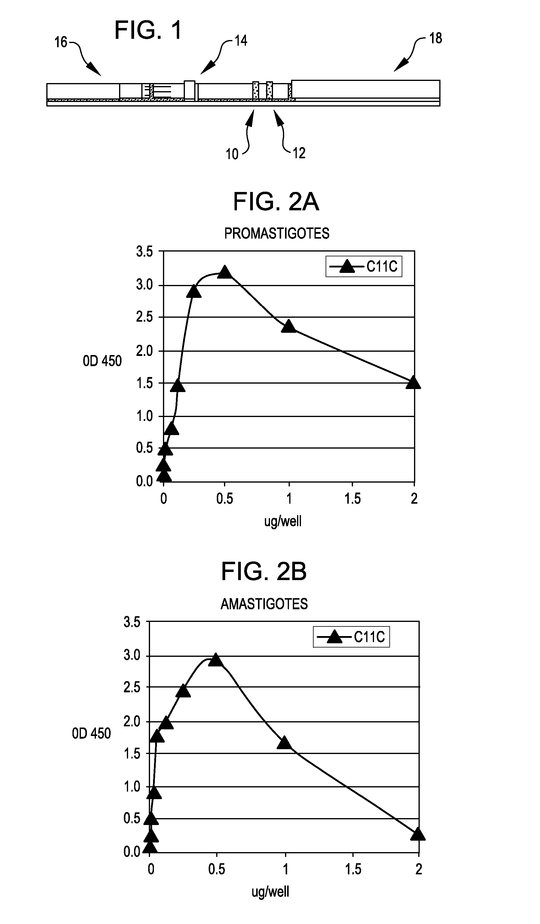 Methods and Materials for the Detection of Leishmania Infection