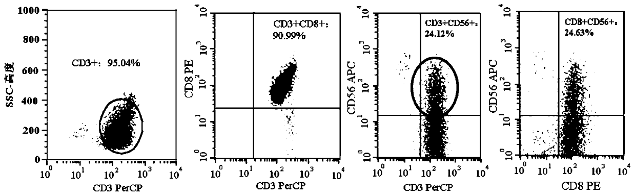 Chimeric antigen receptor and its gene and recombinant expression vector, carmsln-nkt cell and its preparation method and application