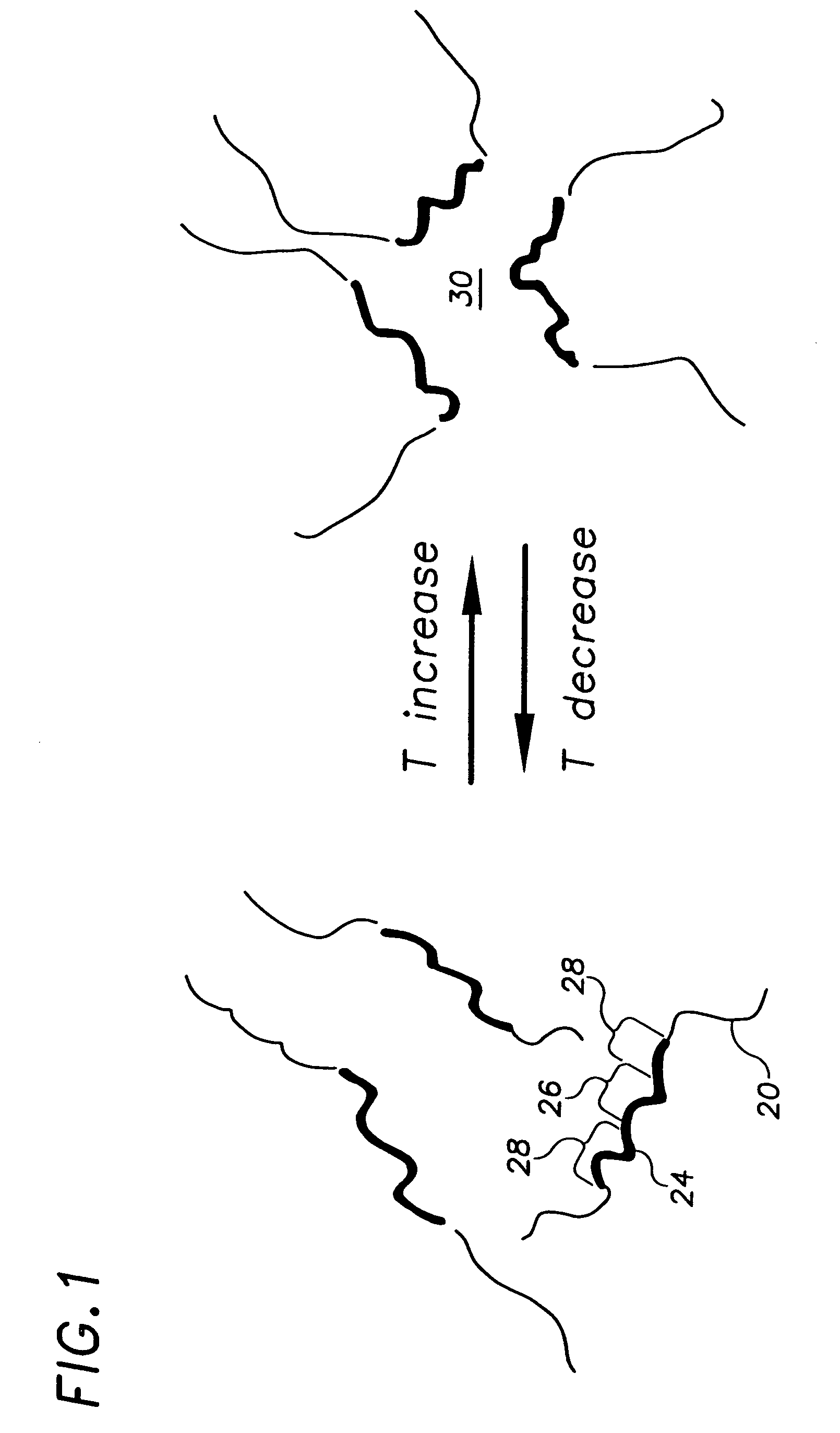 End modified thermal responsive hydrogels