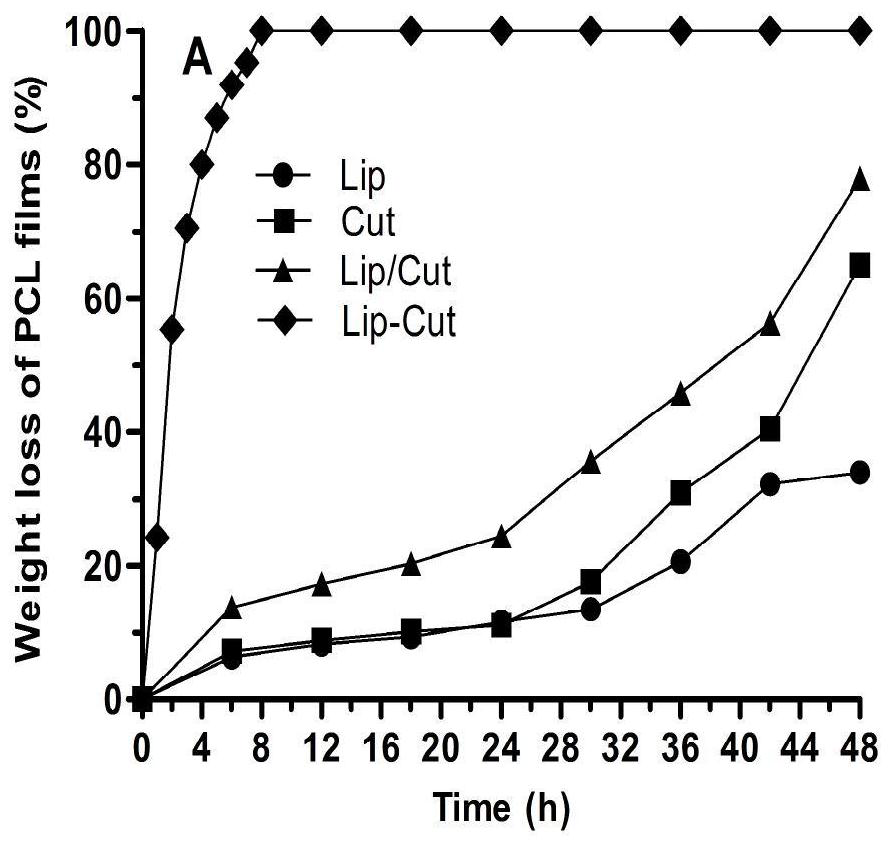 A kind of method of highly efficient full degradation polycaprolactone