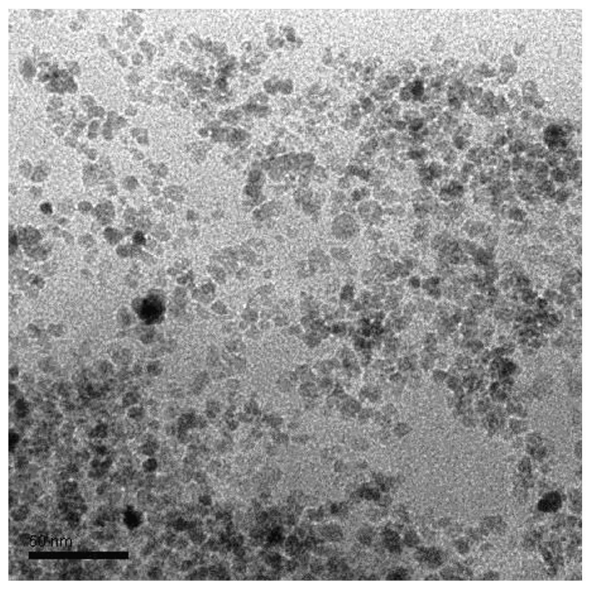 Chitosan magnetic nano particle as well as preparation method and application thereof