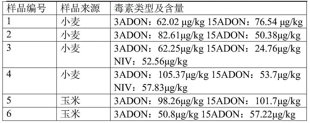 Primer for detecting trichothecene group B-class toxin of fusaria through PCR and application of primer