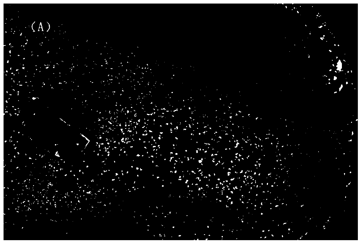 A kind of preparation method of high temperature resistant anti-coking supported gold nano catalyst