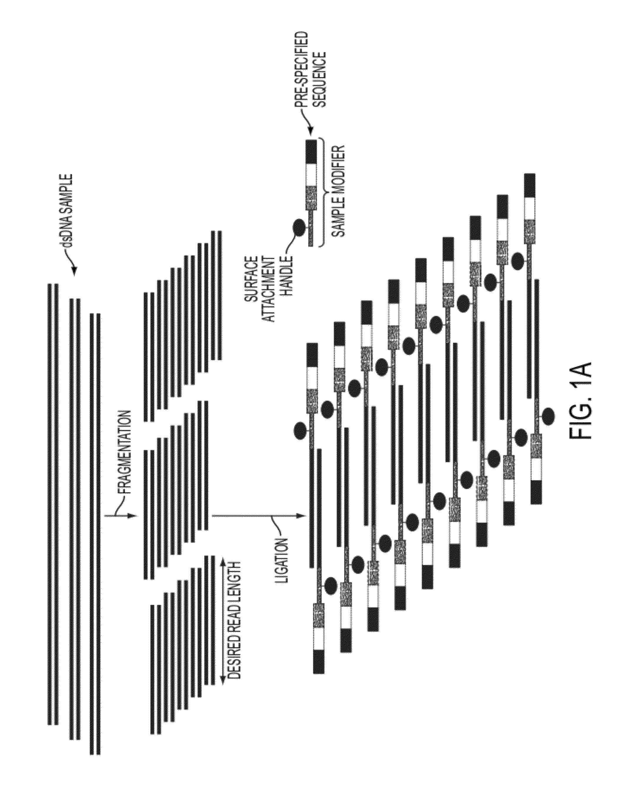 Sequence preserved DNA conversion for optical nanopore sequencing