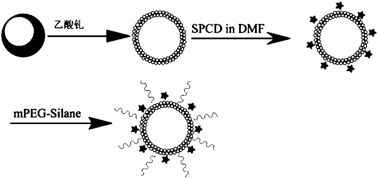 A hollow vesicle nanocomposite material doped with gadolinium and its preparation and application