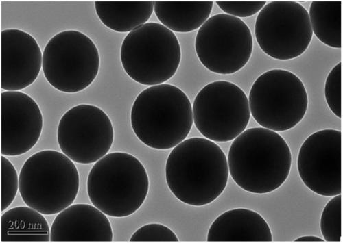 A hollow vesicle nanocomposite material doped with gadolinium and its preparation and application