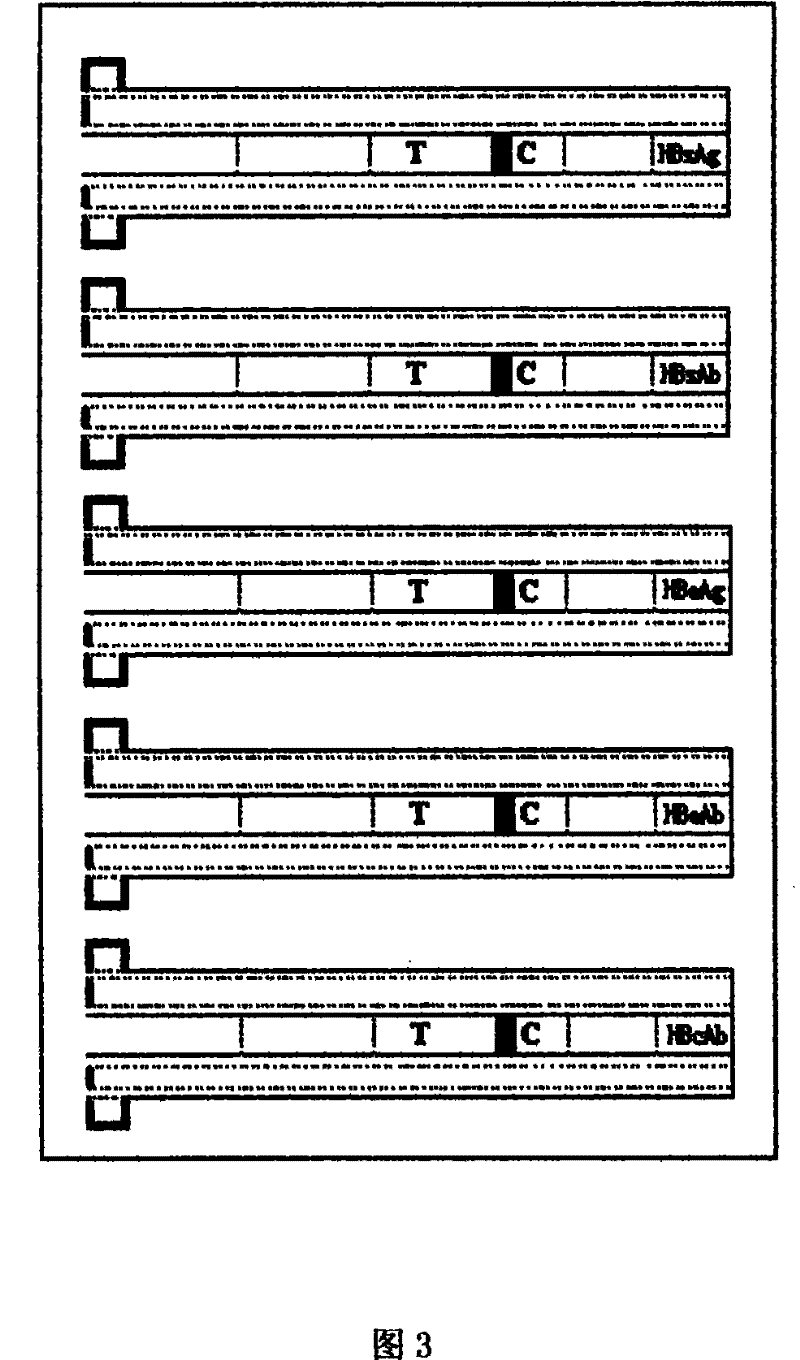 A portable two-and-a-half rapid combined detection device for hepatitis B